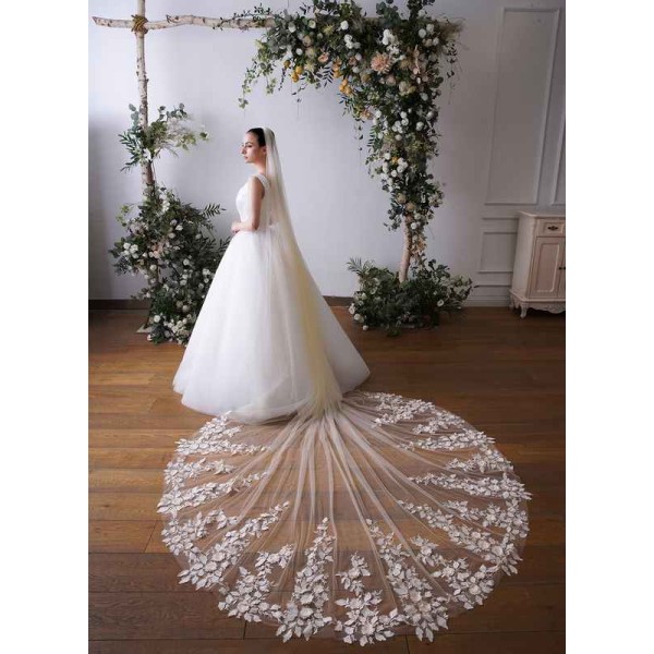 One-tier Lace Applique Edge Cathedral Bridal Veils With Lace