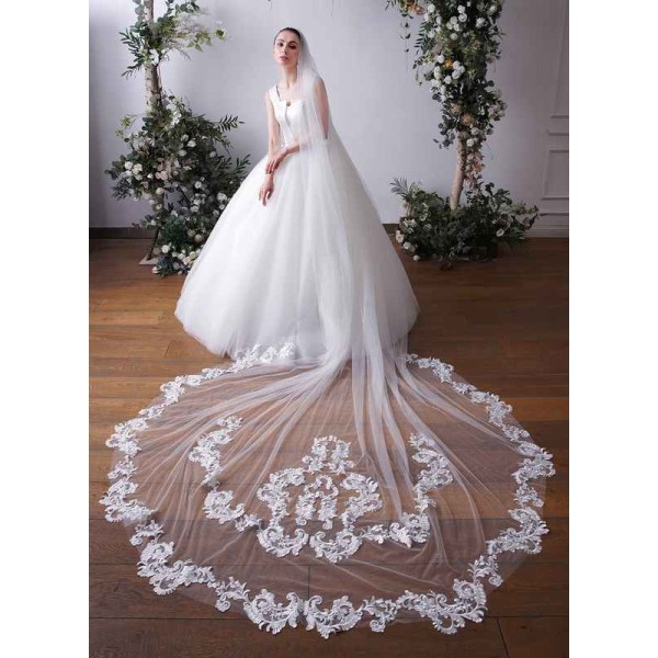 One-tier Lace Applique Edge Cathedral Bridal Veils With Lace