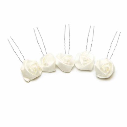 Hairpins/Headpiece (Set of 5)