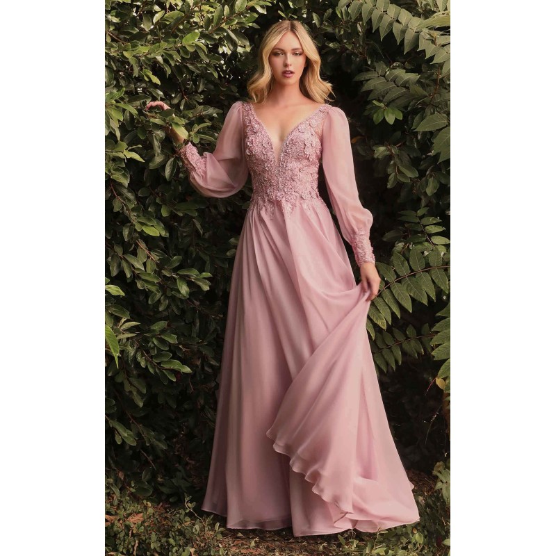 Cinderella Divine CD0183 Dress